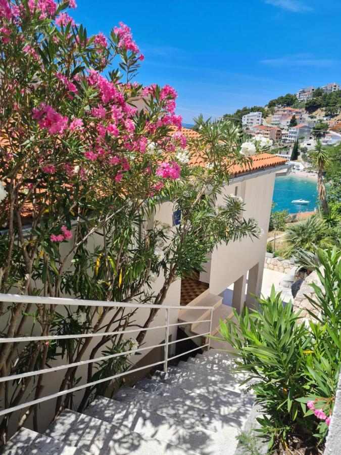 Apartments Apartmani Pintar ميميتسا المظهر الخارجي الصورة